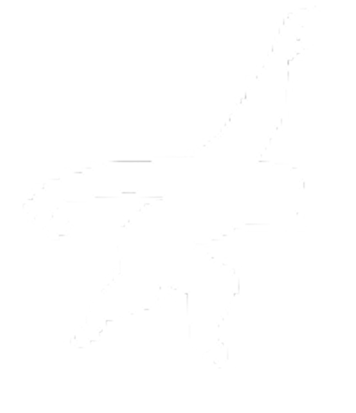 BALANCE TRAINING IMPROVES